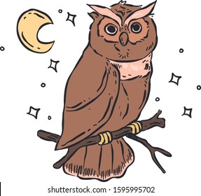 owl doodle . owl vector