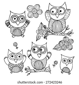 Owl Doodle Vector