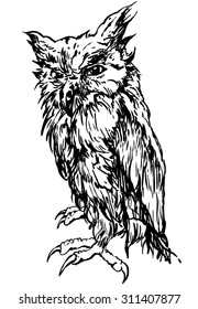 Owl - drawn vector illustration, isolated on white, stylized engraving