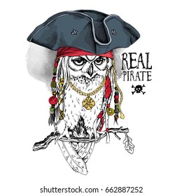 Owl with Dreadlocks and accessories in a Pirate hat on a oak branch. Vector illustration.