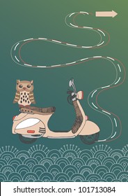 Owl drive by scooter in the specified direction
