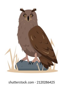 Owl or eagle brown bird. Wild forest feathered nocturnal bird of prey sitting on stone. Nature, birdwatching and ornithology design. Vector cartoon or flat illustration.