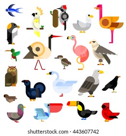 Owl and eagle, swallow and hummingbird, parrot, falcon, penguin, stork, swan, sparrow,  pigeon, flamingo and gull, ostrich, raven, pecker, toucan, cardinal, pelican, blackcock, kiwi birds flat icons