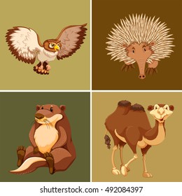 Owl, echidna, beaver and camel