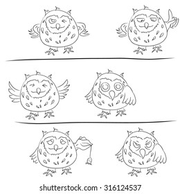 Owl emotions