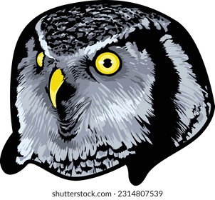 Owl Face Illustration. Sky. Forest. Vector