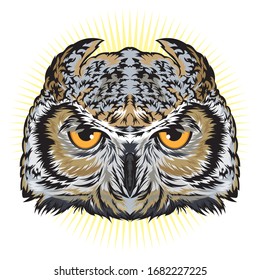 Owl face vector illustration, good for  t shirt design and mascot design