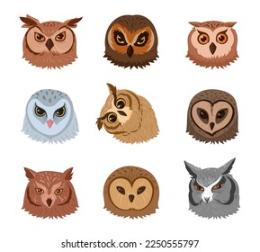Owl faces. Cartoon adorable feathered owls avatars, wild forest birds heads flat vector illustration on white background