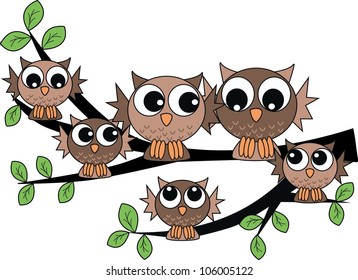 owl family