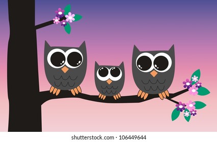 owl family