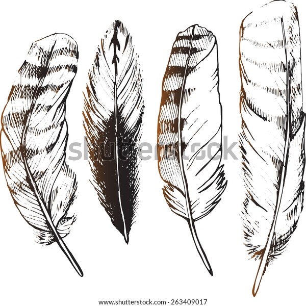 Owl Feathers Painted By Hand Sketch
