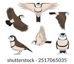 Owl Finch Bird Pet Various Poses Cartoon Vector Character