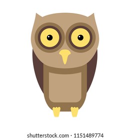 Owl flat illustration