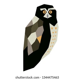 Owl flat illustration on white