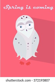 Owl  flat.White owl on the pink.Spring is coming