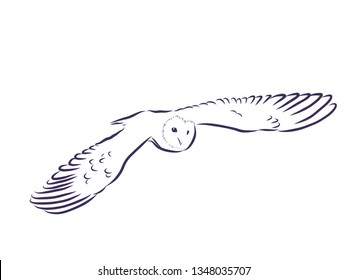 Owl in flight contour, vector illustration