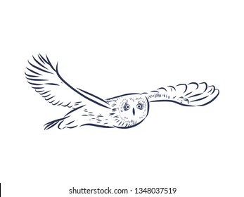 Owl in flight contour, vector illustration