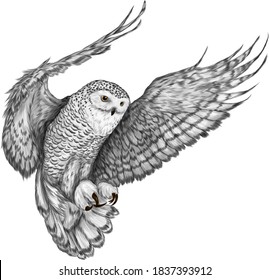 owl in flight Northern black white vector illustration