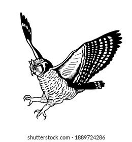 Owl in flight. Vector stock illustration eps10. Hand drawing, outline.