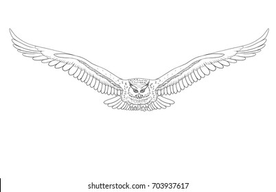 Owl fly with open wings. Bird coloring isolated on white.