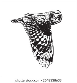 Owl flying black and white vector illustration