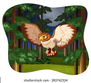 Owl flying in the forest at night
