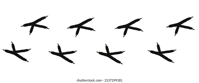 Owl footprint path. Horizontal wild bird paw trace