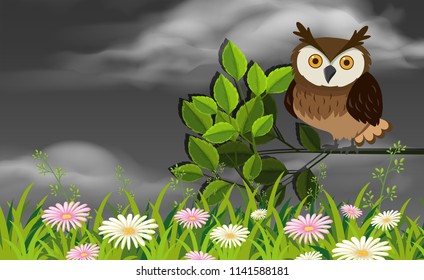 Owl in a garden scene illustration