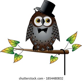 Caballero búho en vector de rama