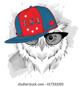 Owl in the glasses, headphones and hip-hop hat with print of USA. Vector illustration.