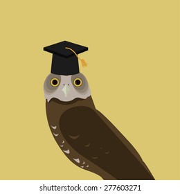 owl with Graduation Cap