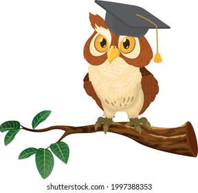 Owl graduation cap cartoon vector art and illustration