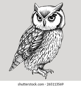 Owl Graphic Black & White