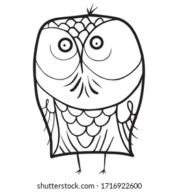 owl graphic design vector illustration, symbol of wisdom, art sketch sketch, funny picture, sleepy icon, hand draw, use in t-shirt printing, icon
