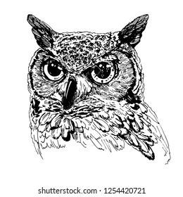 Owl graphic on a white background with a clock in the eye