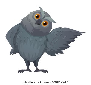 Owl with gray feather illustration