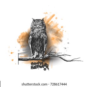 Owl Halloween background , Hand Drawn Sketch Vector .