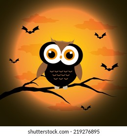 owl halloween day