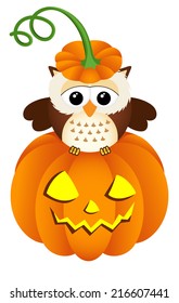 Owl in halloween pumpkin