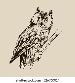 Owl hand drawn, black and white isolated vector illustration