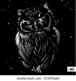 Owl hand drawn, black and white isolated vector illustration. Black background . night