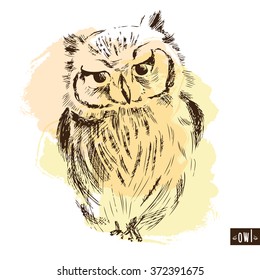 Owl hand drawn, black and white isolated vector illustration.watercolor background