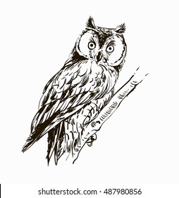 Owl hand drawn, black and white isolated vector illustration