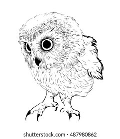 Owl hand drawn, black and white isolated vector illustration