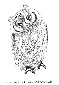 Owl hand drawn, black and white isolated vector illustration