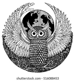 the owl hand drawn illustration