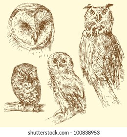 owl - hand drawn set