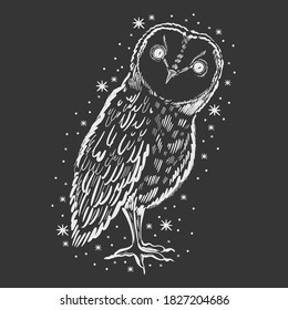 Owl hand drawn sketch. Funny cute bird isolated. Vector illustration.