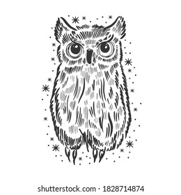 Owl hand drawn sketch. Funny cute bird isolated. Vector illustration.