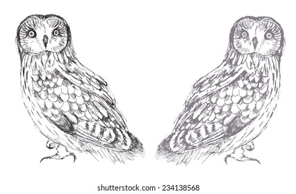 Owl hand drawn vector graphics